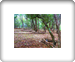 Wallpaper News